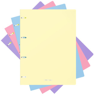 Тетрадь с пластиковой обложкой 'Pastel', А4, 80 листов, клетка ErichKrause, цвет в асс.